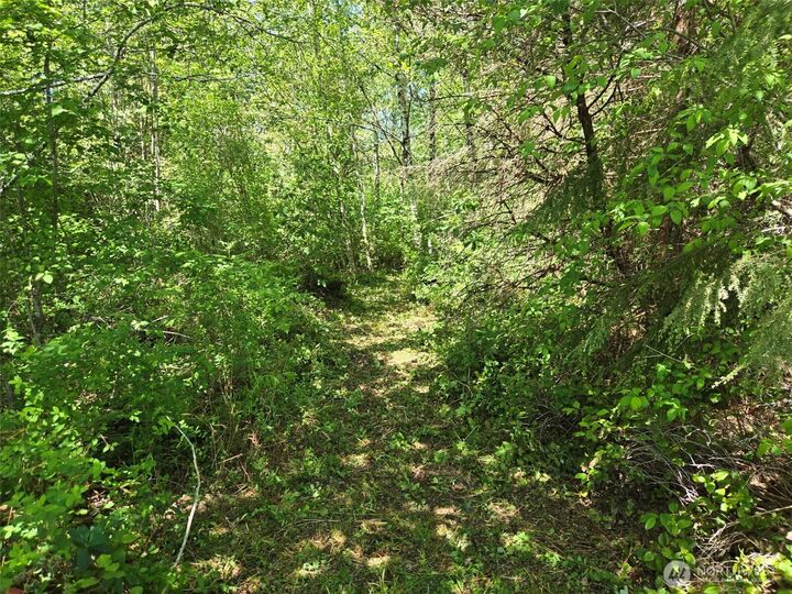 Property Photo: 256 Walker Road WA 98550