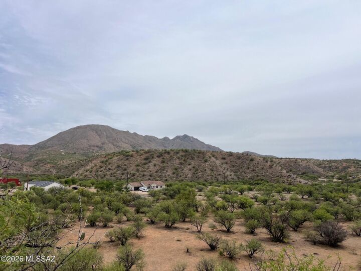 Property Photo:  282 Ciuta Corte 85  AZ 85648 