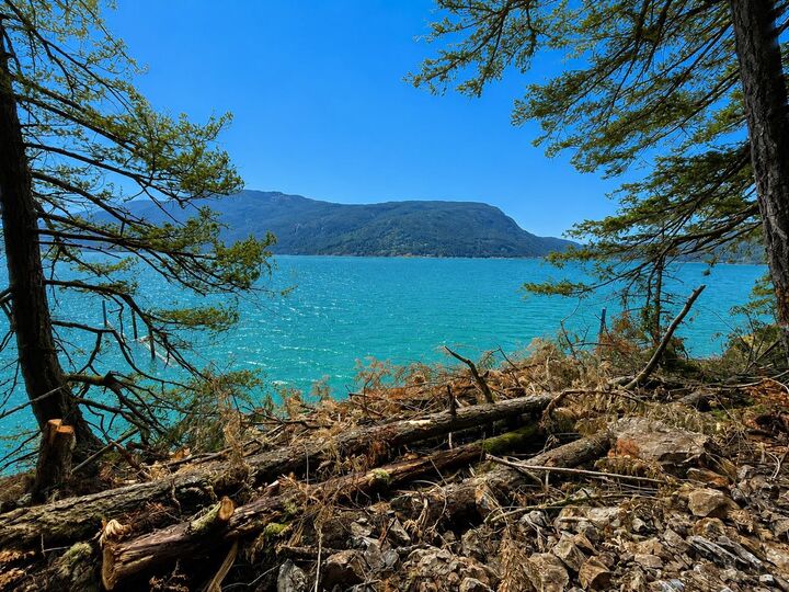 Property Photo: Pcl B Harrison Lake BC V0M 1K0
