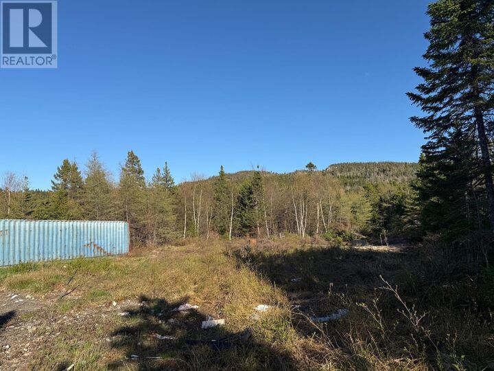 Property Photo:  23 Hodgewater Line  NL A0A 3W0 