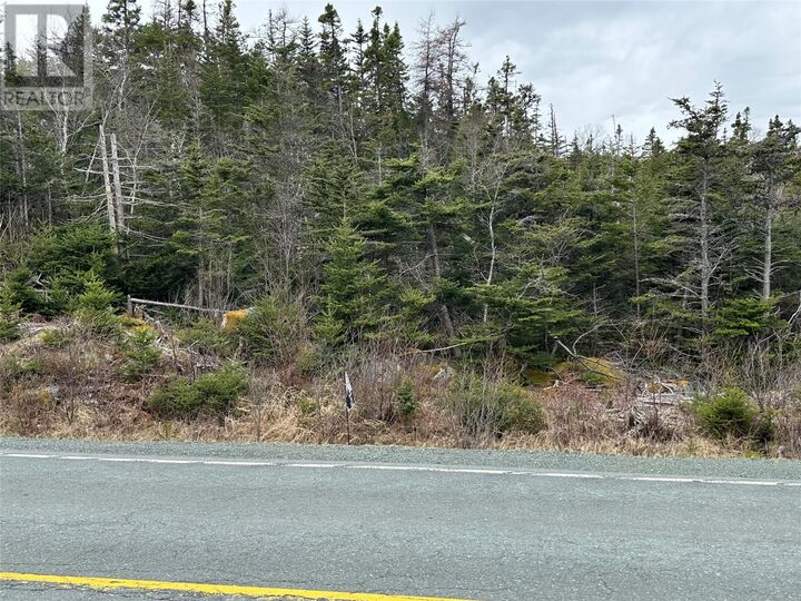 Property Photo:  106 Liam Hickey Drive  NL A0A 2R0 