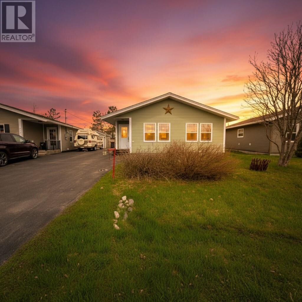 Property Photo:  117 Ogilvie Street  NL A1V 1G6 