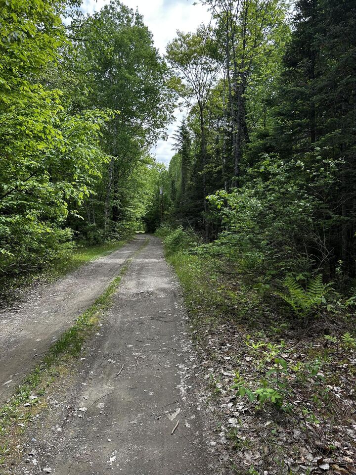 Property Photo:  Lot 9-4 Lilly Drive  ME 04953 