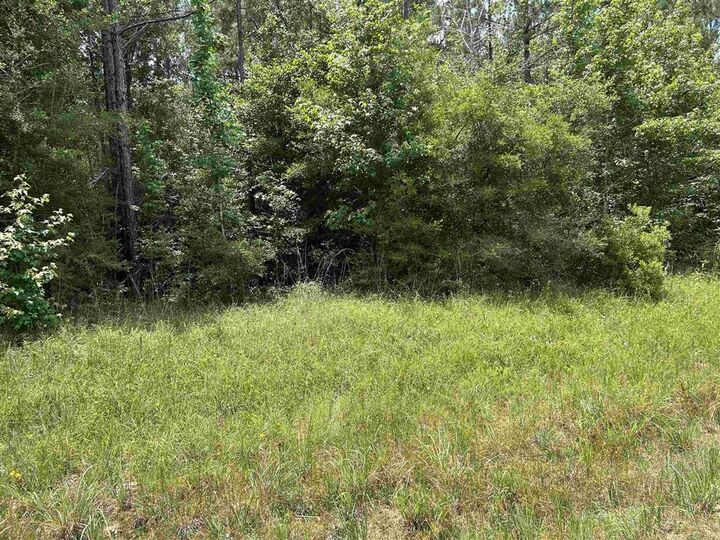 Property Photo:  Hwy 389 Highway  LA 70653 