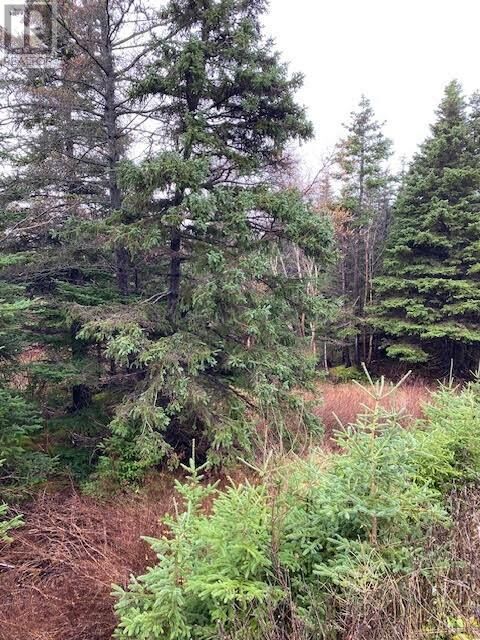 Property Photo:  94-96 Highway East  NL A0A 4G0 
