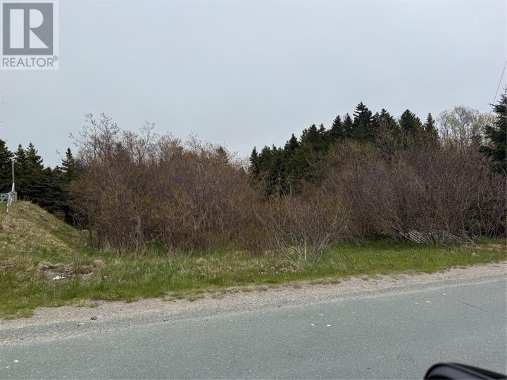 Property Photo:  201 Main Street  NL A0A 1W0 