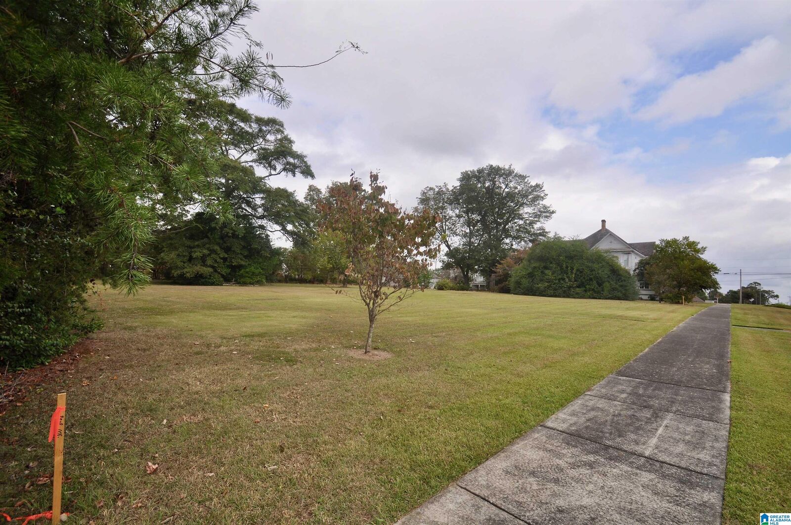 Property Photo:  Lot 1 SE 5th Avenue 1  AL 35055 