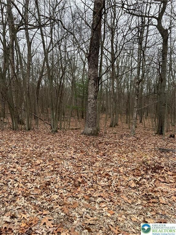 Property Photo:  102 Heavenly Valley Drive  PA 18464 