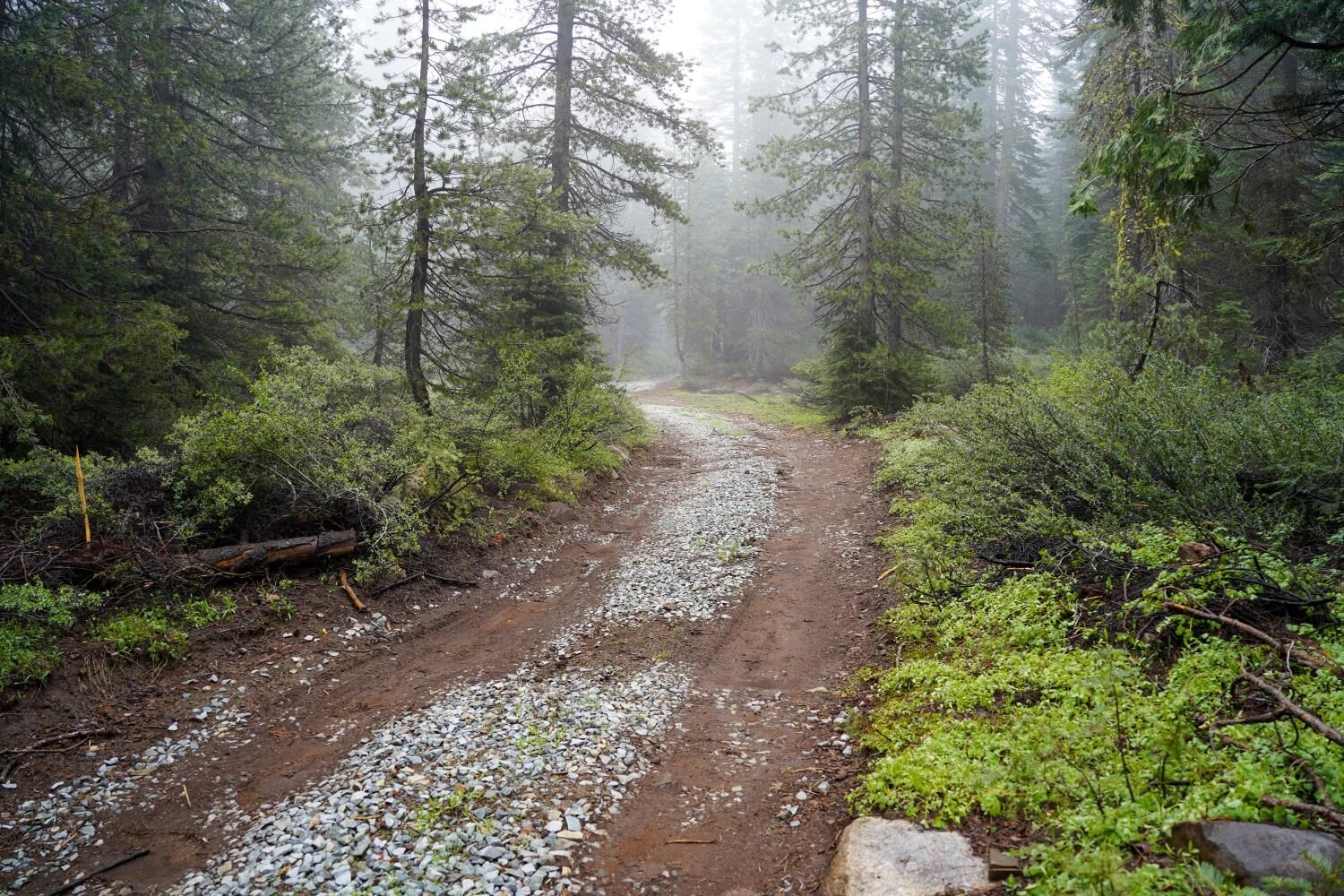 Property Photo:  19746 Marsh Mill Road  CA 95959 