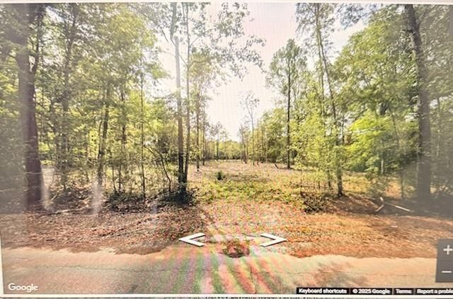 Property Photo:  42217 Pasqua Road  LA 70454 