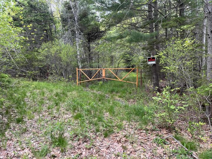 Land Locust Street — photo 1