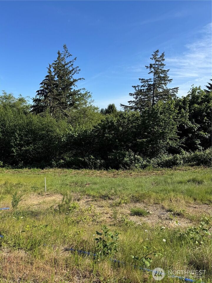 Property Photo:  0 E Archer Ridge Road  WA 98524 