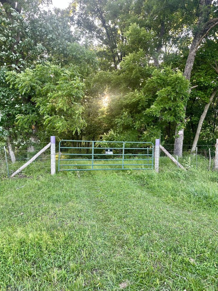 Property Photo: 14188 County Road 195 MO 65779