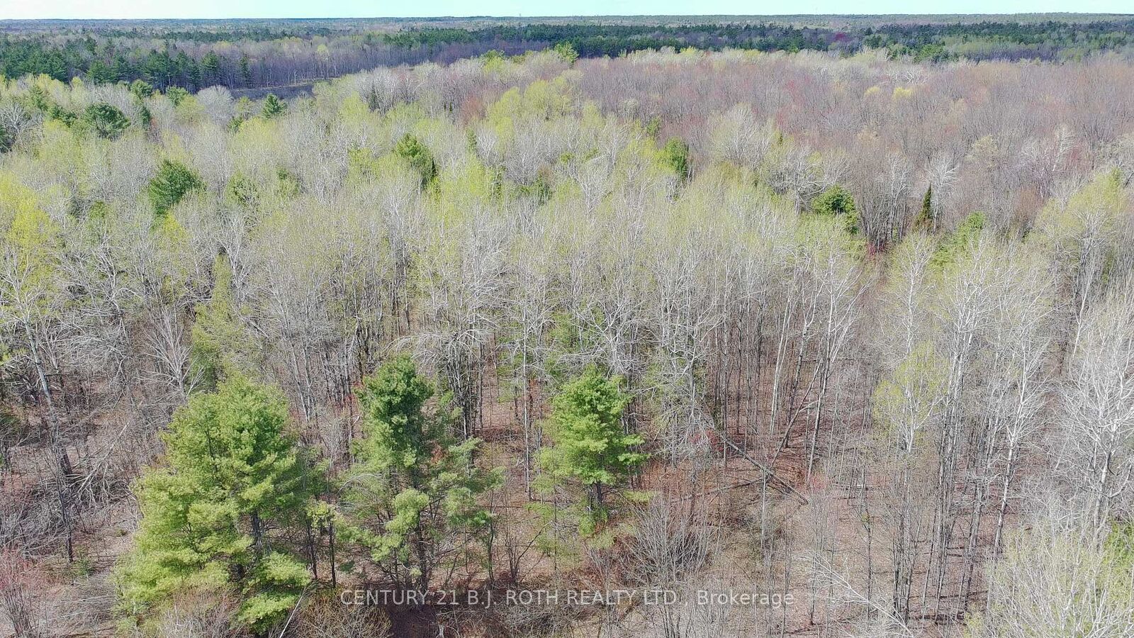 Property Photo:  2444 Fairgrounds Road  ON L0K 2B0 