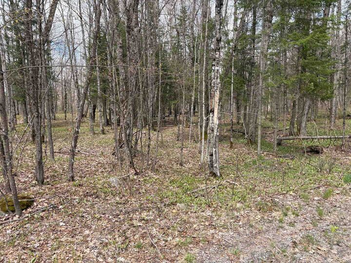 0 Dauncey Road — photo 1