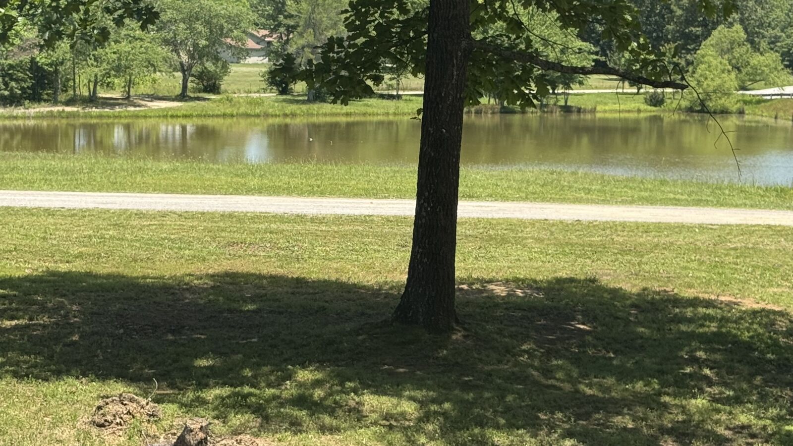Property Photo: 1684 Rimfire Dr TN 37018