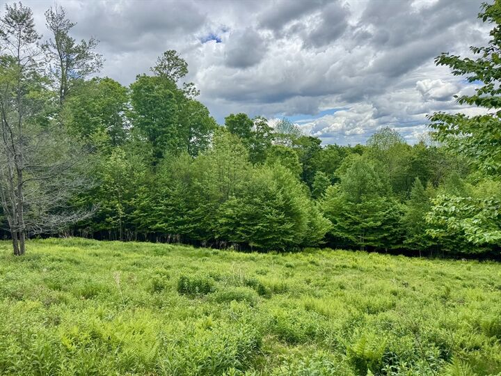 Property Photo: 16 Manley Phelps Road MA 01350