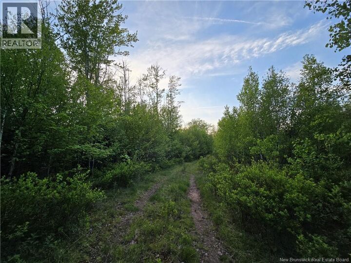 Property Photo:  Lot 2 Dingley Road  NB E4Z 1W1 