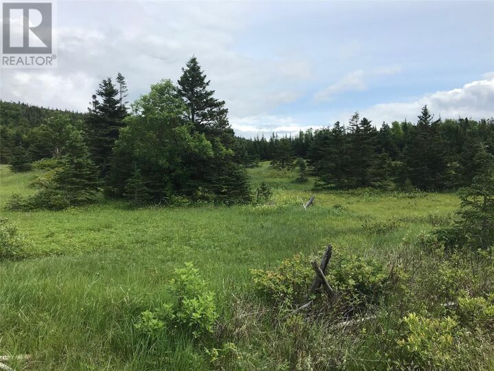 Property Photo:  198 Neddies Harbour Road  NL A0K 3V0 