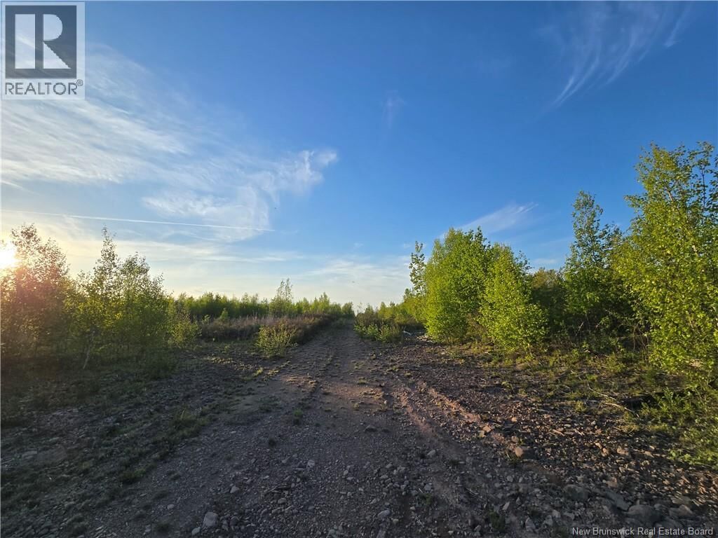 Property Photo:  Lot 1 Dingley Road  NB E4Z 1W1 