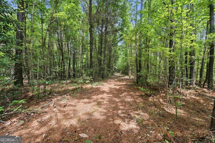 Property Photo:  0 Pear Orchard Road  GA 30642 