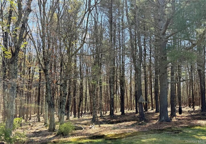Property Photo: Lot 20.8 Airport Road NY 12732