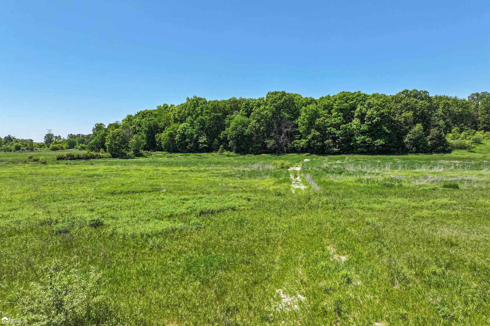 Property Photo:  000 S Henderson Road  MI 48423 