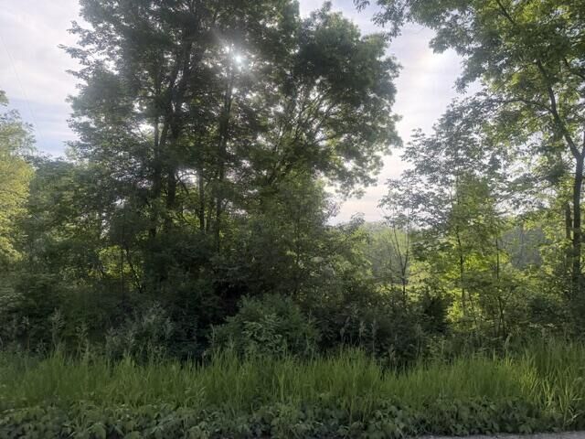 Property Photo:  Muskegon Boulevard  MI 49337 