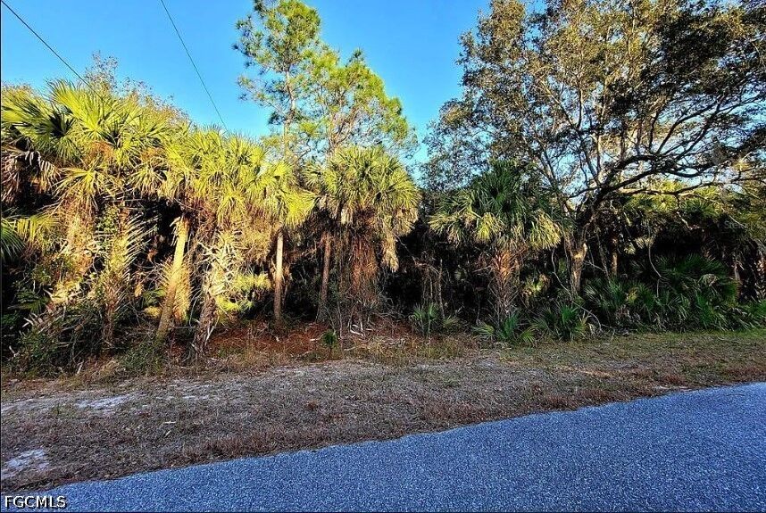 Property Photo:  3120 Olney Street  FL 33948 