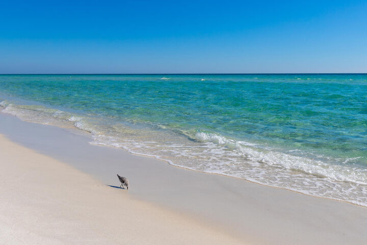 Property Photo:  7889 Gulf Boulevard  FL 32566 