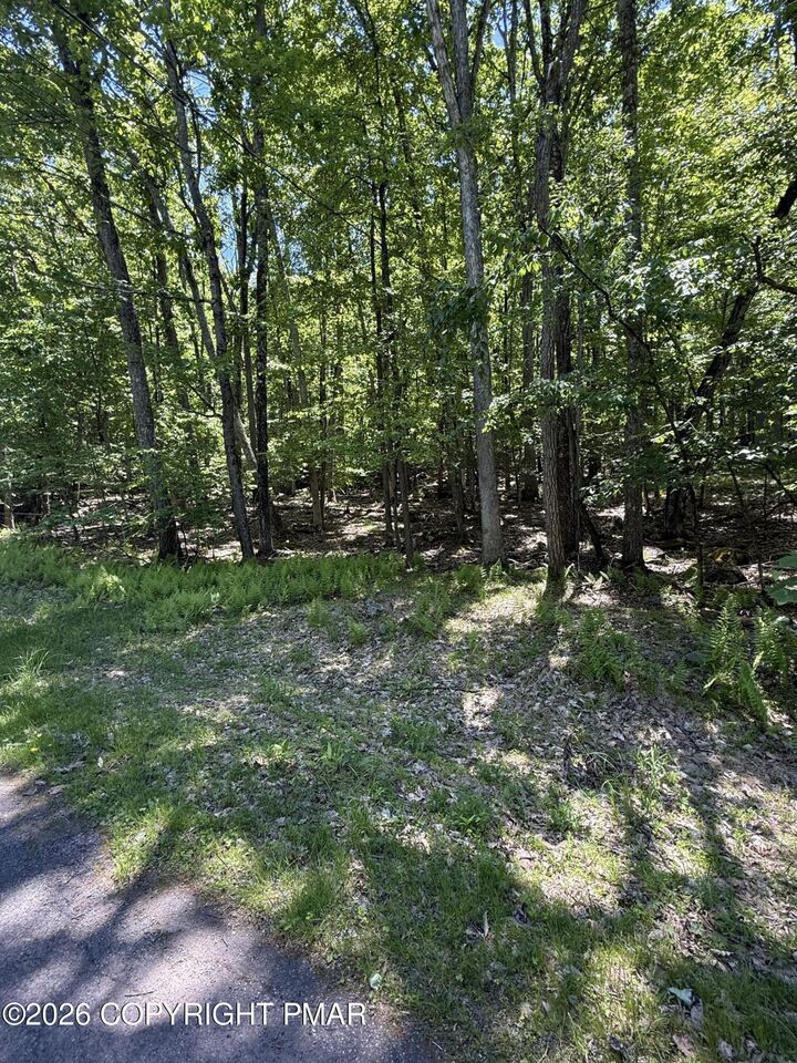 Property Photo: Paper Birch N PA 18464