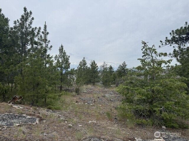 Property Photo:  111  Tbd Patterson Creek  WA 98855 
