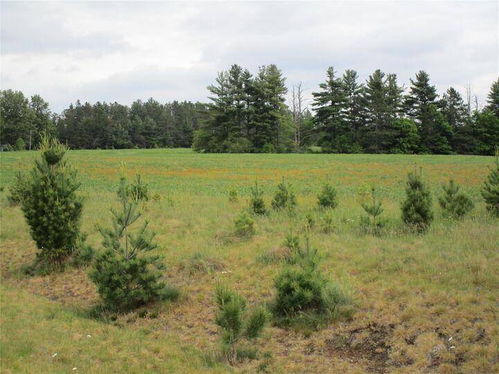 Property Photo:  Xxx River Pines Drive  WI 54848 