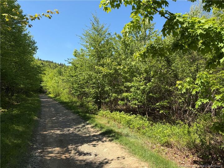 Property Photo:  124 Greenhill Lake Road  NB E6E 1G2 