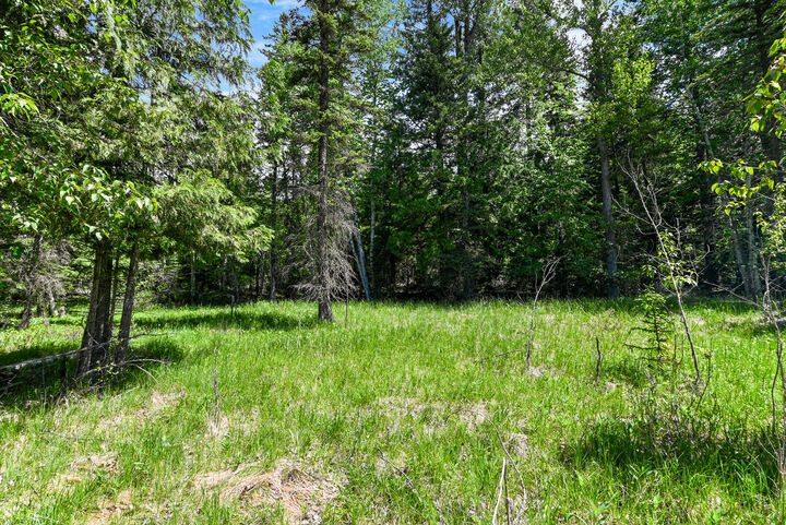 Property Photo: 265 N Shooting Star Circle MT 59937