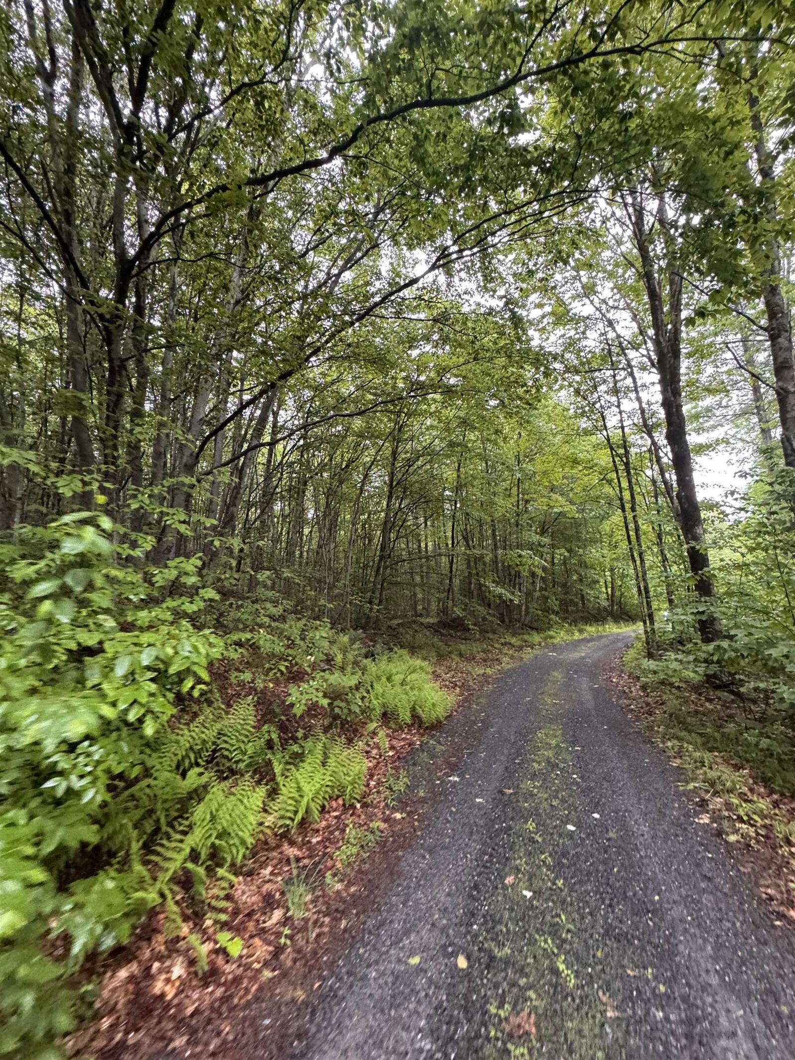 Property Photo:  101 Gilsum Road  NH 03445 