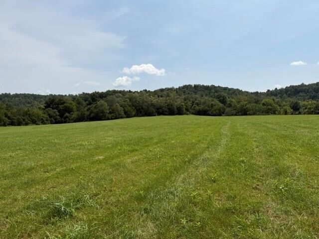 Property Photo:  Tract 5 L And N Turnpike Road  KY 42749 