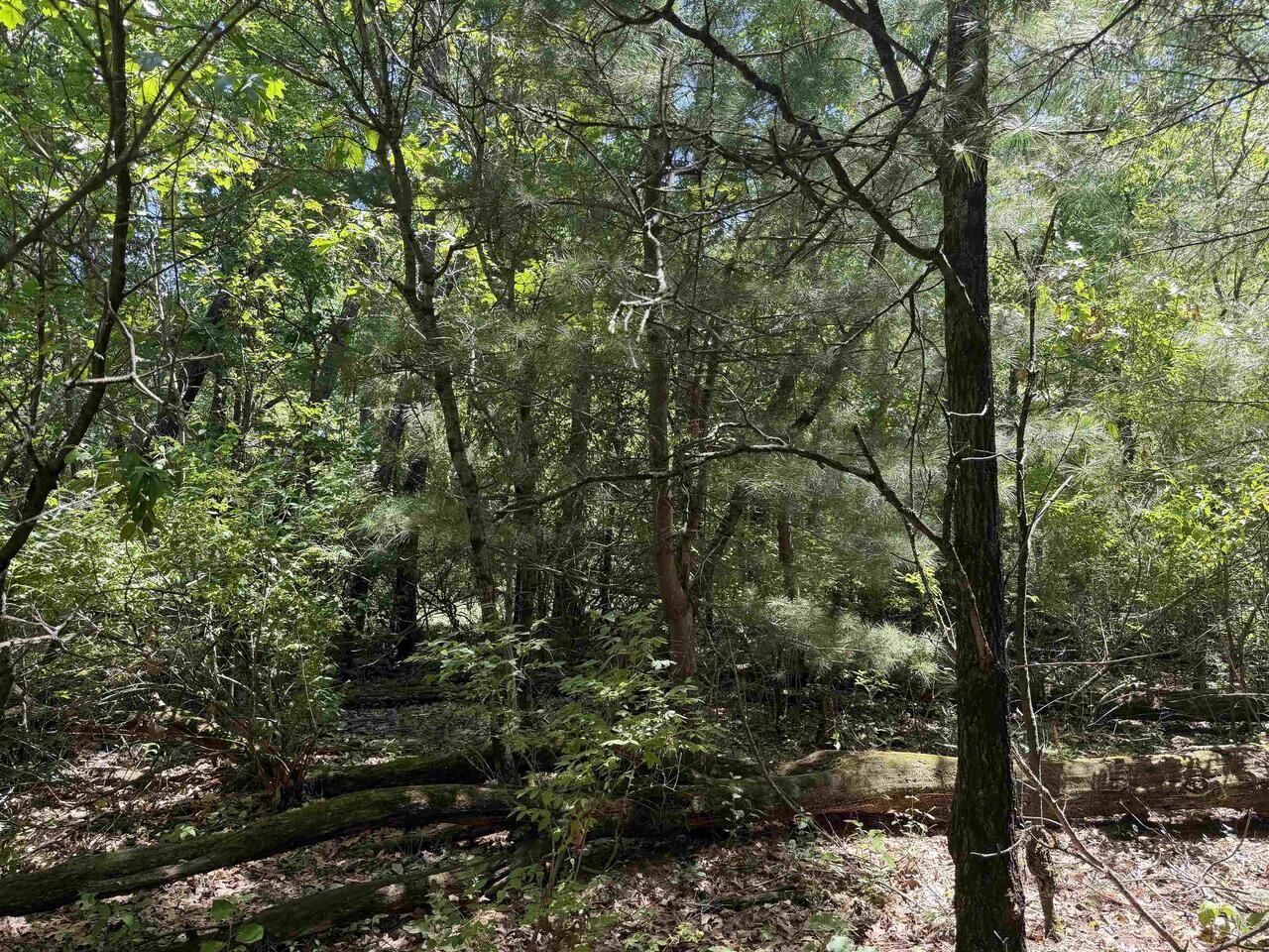 Property Photo:  5+ Acre 8th Avenue  WI 53965 