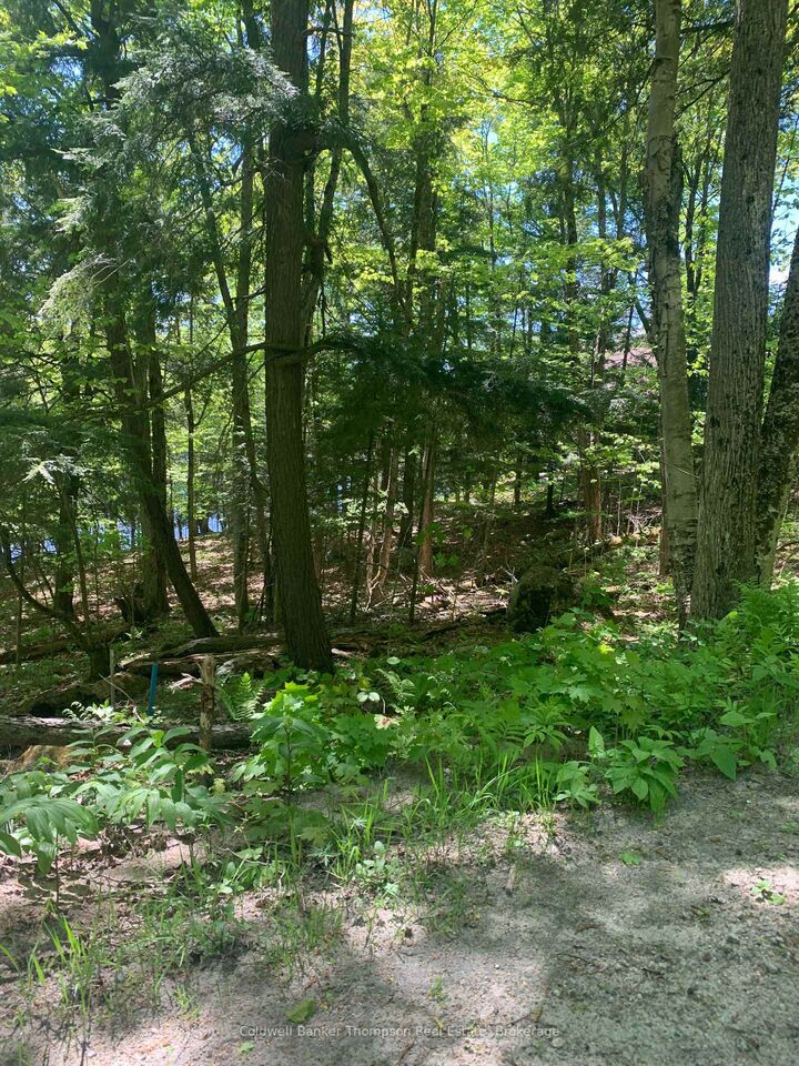 Property Photo:  00 Wurm Road  ON P0A 1P0 