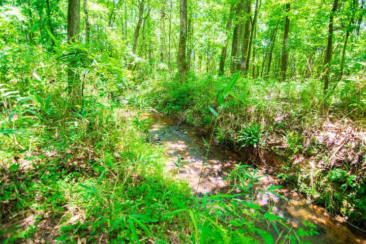 Property Photo:  0 White Road  GA 31822 