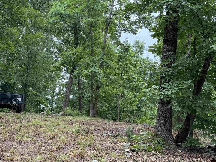 Property Photo: Off Of Morgan Cave Road AR 72601