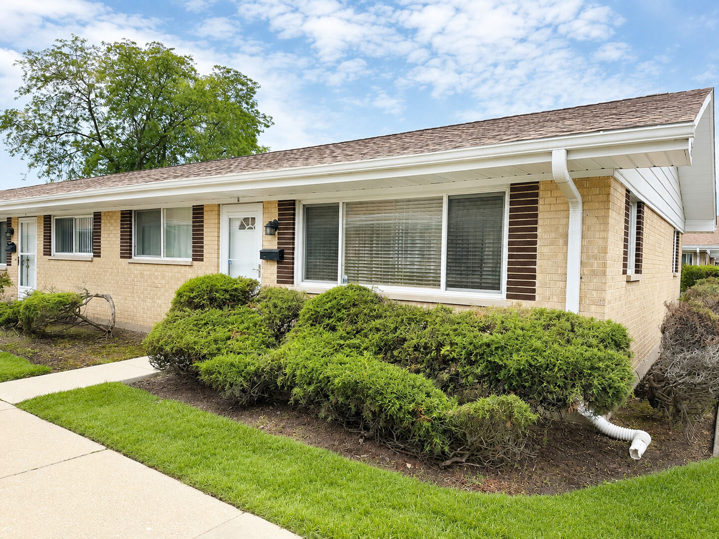 Property Photo:  813 Valley Stream Drive D  IL 60090 