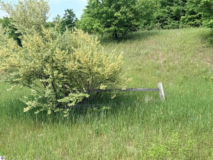Property Photo: 00 W Sleepy Valley Drive MI 49630