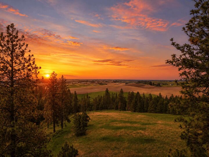 Property Photo:  Nna S Sands Rd Lot 1  WA 99036 