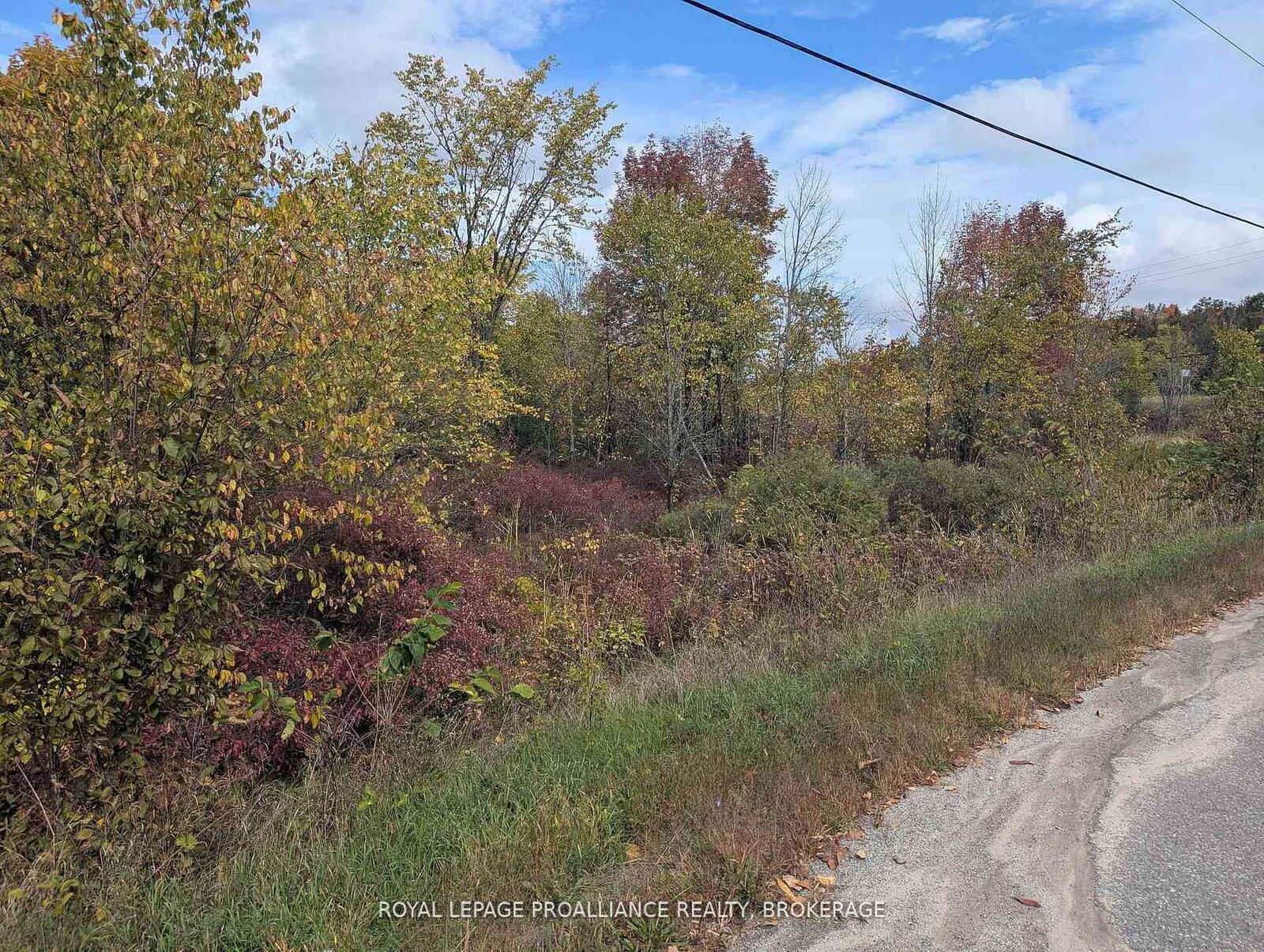Property Photo: Lot 34 Leo Lake Road ON K0H 2N0