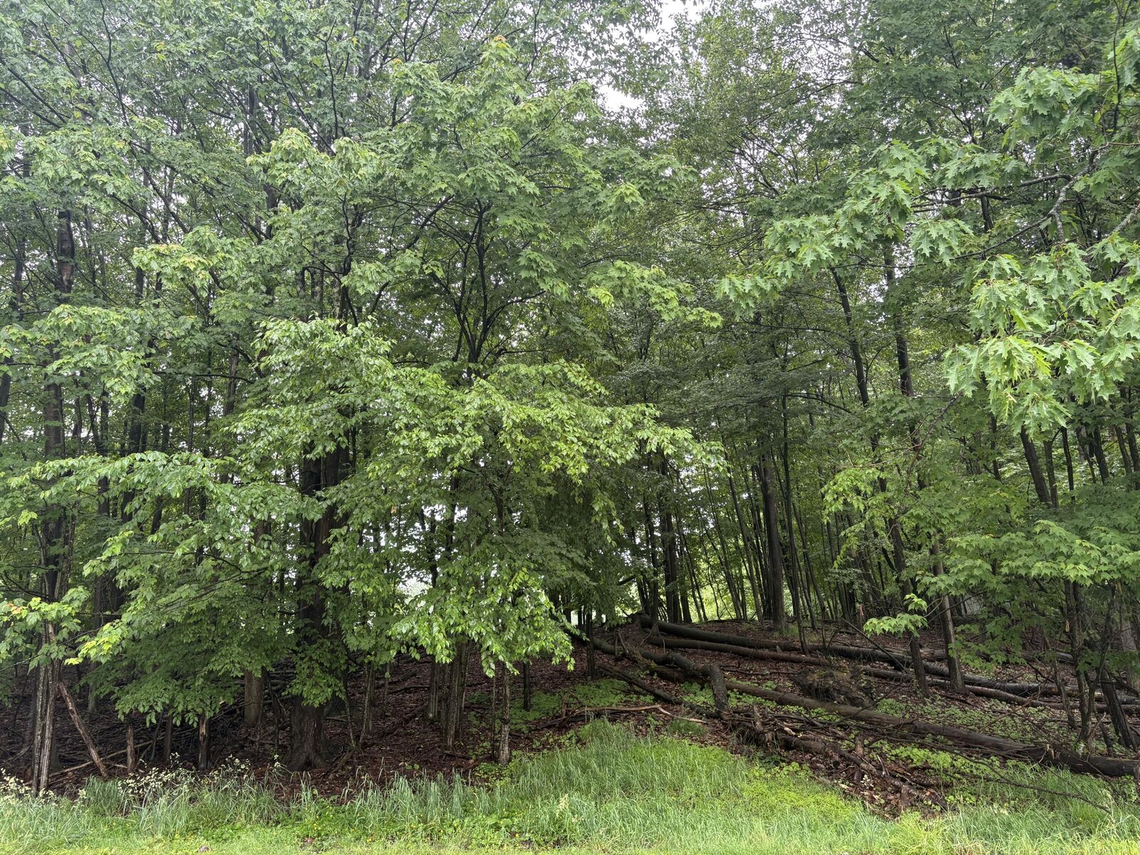 Property Photo: 6 Treasure Lake Rd PA 15801