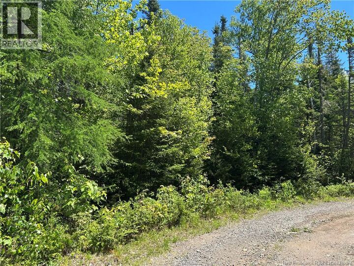 Property Photo:  Lot Nelson Lake Road  NB E5K 4W2 