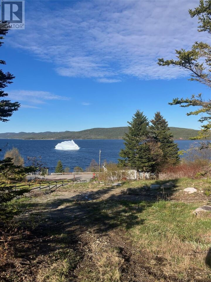 Property Photo:  217 Main Street  NL A0J 1H0 
