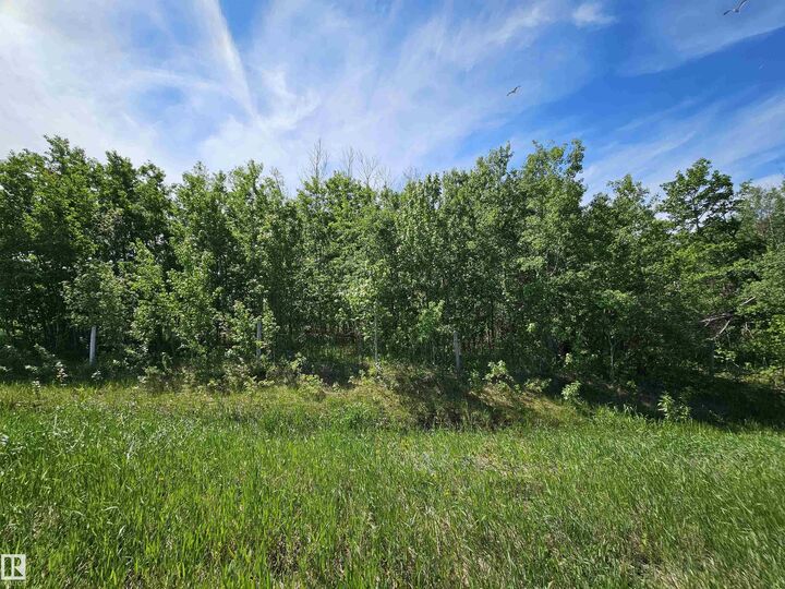 Property Photo:  Twp Rd 580 Range Road 95  AB T0A 3A0 