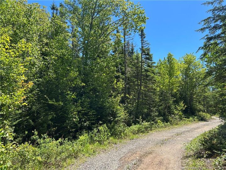 Property Photo:  Lot Nelson Lake Road  NB E5K 4W2 